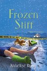 Frozen Stiff (Mattie Winston, Bk 3)
