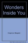 The Wonders Inside You