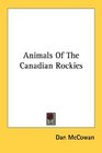 Animals Of The Canadian Rockies
