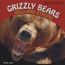 Grizzly Bears Wild and Strong