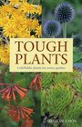 Tough Plants Unkillable Plants for Every Garden