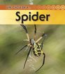 Spider 2nd Edition