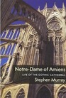 NotreDame of Amiens Life of the Gothic Cathedral