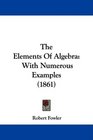 The Elements Of Algebra With Numerous Examples