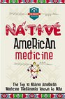Native American Medicine The Top 10 Native American Medicine Treatments Known To Man