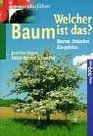 Welcher Baum ist das Bume Strucher Ziergehlze