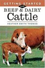 Getting Started with Beef  Dairy Cattle