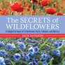 The Secrets of Wildflowers A Delightful Feast of LittleKnown Facts Folklore and History