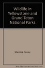 Wildlife in Yellowstone and Grand Teton National Parks