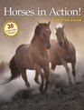 Horses in Action A Poster Book