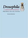 Drosophilia A Laboratory Handbook