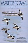 Waterfowl  An Identification Guide to the Ducks Geese and Swans of the World