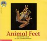 Animal Feet (Reading Discovery)