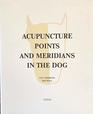 Acupuncture Points and Meridians in the Dog