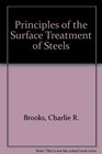 Principles of the Surface Treatment of Steel