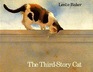 The ThirdStory Cat