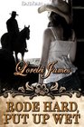 Rode Hard, Put Up Wet (Rough Riders, Bk 2)