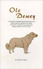 Ole Dewey  A Brown Shephard Dog That Belonged to the Martins and Was Claimed by the Author from 1935 to 1952 That Was Written up by Ripley Believe It or Not Twice