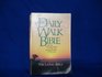 The Daily Walk Bible With 365 Devotional Helps to Guide You Through the Bible in One Year