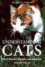 Understanding Cats Their History Nature and Behavior