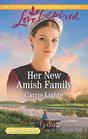 Her New Amish Family (Amish Country Courtships, Bk 4) (Love Inspired, No 1208) (Larger Print)