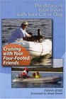 Cruising With Your FourFooted Friends The Basics of Travel with Your Cat or Dog