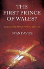 The First Prince of Wales Bleddyn ap Cynfyn 106375