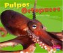 Pulpos / Octopuses