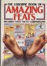 The Usborne Book of Amazing Feats (Usborne Facts  Lists)