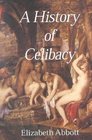 A History of Celibacy  From Athena to Elizabeth I Leornardo Da Vinci Florence Nightingale Gandhi and Cher