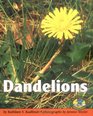 Dandelions (Early Bird Nature Books)