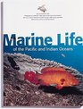Marine Life of the Pacific  Indian Oceans A Periplus Nature Guide