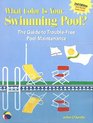 What Color Is Your Swimming Pool The Guide to TroubleFree Pool Maintenance