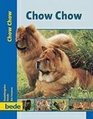 PraxisRatgeber Chow Chow