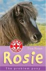 Rosie The Problem Pony