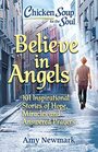 Chicken Soup for the Soul Believe in Angels 101 Inspirational Stories of Hope Miracles and Answered Prayers