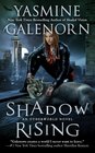 Shadow Rising (Otherworld, Bk 12)