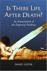 Is There Life After Death An Examination of the Empirical Evidence