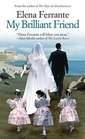 My Brilliant Friend (The Neapolitan Novels)