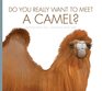 Do You Really Want to Meet a Camel