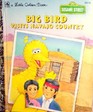 Big Bird Visits Navajo Country