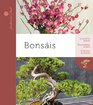 Bonsis / Bonsai