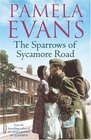 The Sparrows of Syacamore Road