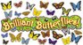 3D Butterflies Bulletin Board