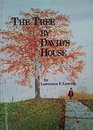 The Tree by David's House