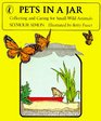 Pets in a Jar Collecting and Caring for Small Wild Animals