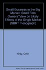 Small Business in the Big Market Small Firm Owners' View on Likely Effects of the Single Market