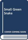 Small Green Snake