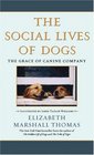 The Social Lives of Dogs