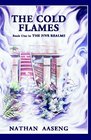 Cold Flames Book One Of The Five Realms